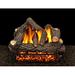 American Gas Log Cheyenne Glow Vented Propane/Natural Gas Fireplace Log Set Plastic in White | 18 H x 34 W x 14 D in | Wayfair CG-24-RCV101-S-DBL