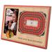 Brown Chicago Blackhawks 3D StadiumViews Picture Frame