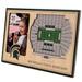 Brown Michigan State Spartans 3D StadiumViews Picture Frame