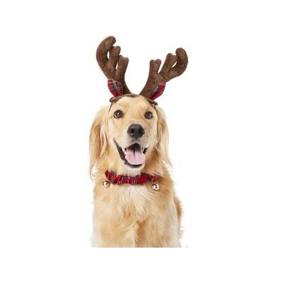 Frisco Holiday Antler Headband & Bell Collar Dog & Cat Costume, X-Large/XX-Large