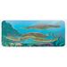 Green 0.1" x 47" L X 19" W Kitchen Mat - East Urban Home Sea Animals Kitchen Mat 0.1 x 19.0 x 47.0 D, Polyester | 0.1" H X 47" L X 19" W | Wayfair