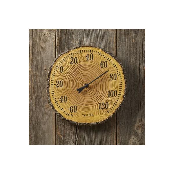 taylor-springfield-tree-trunk-cross-section-polystone-thermometer-|-12-h-x-12-w-x-1.3-d-in-|-wayfair-91719t/