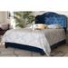 Everly Quinn Roby Tufted Low Profile Storage Standard Bed Wood & /Upholstered/Velvet in Blue | 56.1 H x 64.37 W x 85.43 D in | Wayfair