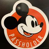 Disney Other | Disney Passholder Magent - Orange Ap | Color: Orange | Size: Os