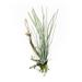 Primrue 11.75" Artificial Tillandsia Succulent Hanging Air Plant Plastic | 11.75 H x 5 W x 5 D in | Wayfair CDB07A34C22742289AA040278DD646AB