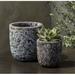 Campania International Dao 8-Piece Pot Planter Set Clay & Terracotta in Green | 7.5 H x 7.25 W x 7.25 D in | Wayfair 2231-3308