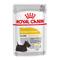 48 x 85 g Royal Canin CCN Dermacomfort Wet Mousse Hundenassfutter