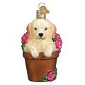 Old World Christmas Puppy in Flower Pot Hanging Figurine Ornament Glass in Brown | 2 H x 2.5 W x 3.75 D in | Wayfair 12559