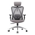 Ebern Designs Ashendon Ergo Mesh Office Chair w/ Adjustable Lumbar Support & Padded Armrests for 5' to 6'3" Upholstered in Gray/Black | Wayfair