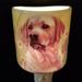 Mr. MJs Dog Night Light Ceramic in Pink | 4 H x 3 W x 2 D in | Wayfair SC-NL003