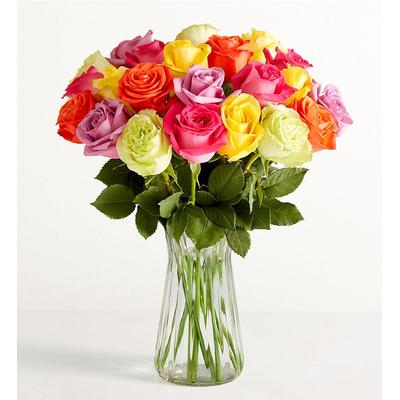 1-800-Flowers Flower Delivery Two Dozen Assorted Roses Assorted Roses, 24 Stems W/ Clear Vase | Happiness Delivered To Their Door
