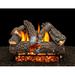 American Gas Log Aspen Whisper Vented Natural Gas/Propane Fireplace Log Set in White | 20 H x 42 W x 16 D in | Wayfair AS-30-RCV101-S-DBL