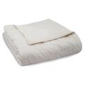 Serta Down Alternative Blanket for Bed, 100% Cotton Cover, Scotchgard Stain Release Cotton in Gray | 90 W in | Wayfair LZE018AFQIVO