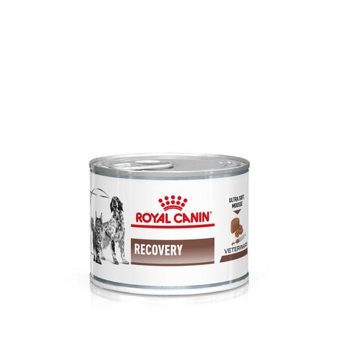 Royal Canin Veterinary Feline Recovery Ultra Soft Mousse - Sparpaket: 24 x 195 g