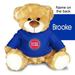 Blue Detroit Pistons Personalized 10'' Plush Bear