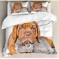 ABAKUHAUS Dog and Cat Duvet Cover Set, Sad Bordeaux and Kitten, Bedding Set 3 Pieces with 2 Pillow Shams, 200 x 200 cm - 70 x 50 cm, Ginger Pale Grey White