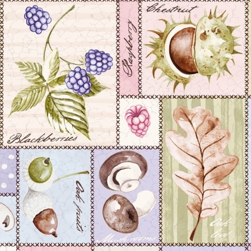 Card image cap