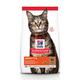 10kg Lamb Adult 1-6 Hill's Science Plan Dry Cat Food