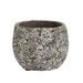 Williston Forge Alishia Concrete Pot Planter Concrete | 3.15 H x 2.5 W x 2.5 D in | Wayfair B0B3F1E657384C86A4F5969568F61DE2