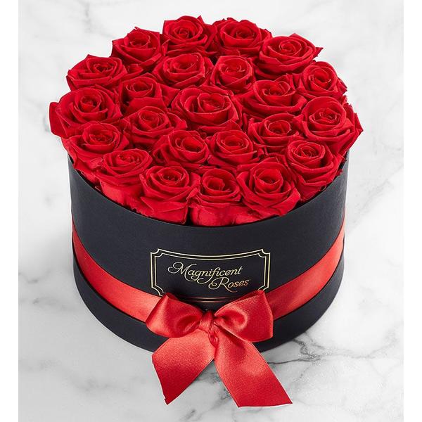 1-800-flowers-flower-delivery-magnificent-preserved-roses-two-dozen-red/