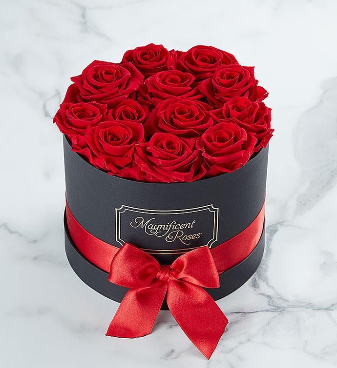 1-800-Flowers Flower Delivery Magnificent Preserved Roses Classic Red | Same Day Delivery Available