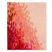 East Urban Home Creation In Color Coral Pink Soft Sherpa Blanket Microfiber/Fleece/Microfiber/Fleece | 51 W in | Wayfair