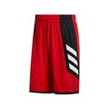 adidas Herren PRO Madness SHR Kurze Hosen, Escarl, S