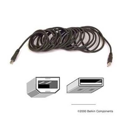 Belkin Hi-Speed USB 2.0 Cable - F3U133-B06