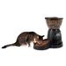Aspen Pet Lebistro Programmable Automatic Feeder Plastic (affordable option) in Black | 13.98 H x 13.7 W x 9.8 D in | Wayfair 24232