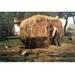 Buyenlarge 'Barnyard' by Frederick Childe Hassam Painting Print | 28 H x 42 W x 1.5 D in | Wayfair 0-587-25241-3C2842