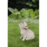 Hi-Line Gift Ltd. French Bulldog Puppy Howling Statue in Brown | 2 H x 5.79 W x 4.41 D in | Wayfair 87703-F