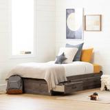 Asten Mate's & Captain's Standard Bed by South Shore Wood in Brown | 14 H x 40.5 W x 76.25 D in | Wayfair 12733