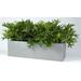 Williston Forge Eldora Composite Planter Box Composite in Brown | 19 H x 72 W x 24 D in | Wayfair 62612EB80981410494B3F413A1AD63FA