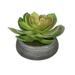 Winston Porter Artificial Echeveria Plant in Planter Ceramic/Plastic in Gray | 4.5 H x 7 W x 7 D in | Wayfair HF0584R-G