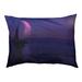 Tucker Murphy Pet™ Burkhardt Moon & Sailboat Cat Bed Outdoor Designer Pillow Fleece | 9.5 H x 29.5 W x 19.5 D in | Wayfair