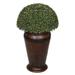 Winston Porter Boxwood Topiary in Decorative Vase Plastic/Metal in Brown | 30 H x 19 W x 19 D in | Wayfair HF0594-DK