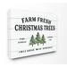 The Holiday Aisle® Planked Look Holiday Farm Fresh Christmas Trees Spruce & Fir - Graphic Art Print on Canvas /Canvas in Brown | Wayfair