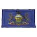 Winston Porter Enrik Pennsylvania Flag Sham Polyester | 23 H x 31 W x 1 D in | Wayfair 36A6780908C04676BA41EB2073CF2480