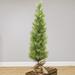 The Holiday Aisle® 3' Pine Artificial Christmas Tree in Green | 4' H | Wayfair F9E4DA24772C48509A6E6C01E36562E5