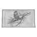 Winston Porter Enrik Vintage Bird Sham Polyester | 23 H x 31 W x 1 D in | Wayfair 3D8D1B2F98264471B4C9F09972CF3A66