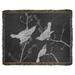 East Urban Home John James Audubon Winged Starling Cotton Throw Cotton in Gray/Black/Brown | 52 W in | Wayfair 3D86305DBE6648C08DD8C1F7ABAFBDAF