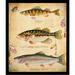 Highland Dunes 'Fish Hooks, Perch, Large Mouth Bass and Rainbow Trout Poster' Framed Graphic Art Paper in Brown/Green/Red | Wayfair