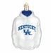 Old World Christmas Tennessee Hoodie Hanging Figurine Ornament Glass in Blue | 4.5 H x 3 W x 1.5 D in | Wayfair 62503