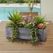 Primrue Succulent in Planter Silk/Stone in Gray | 9 H x 12 W x 4.5 D in | Wayfair 0AA5B594EE27459E8B3F80D8DA20BDC0