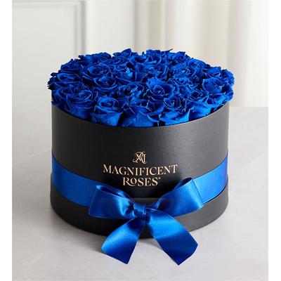 1-800-Flowers Flower Delivery Magnificent Preserved Blue Velvet Roses Premier Blue Velvet