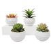 Wrought Studio™ 4 Artificial Assorted Cactus Succulent in Pot Set Plastic | 4 H x 4 W x 4 D in | Wayfair 0B72DCCC52194AB3B2BB62BD31401265