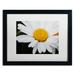 Ebern Designs Sweet Splendor by Monica Mize - Picture Frame Photograph Print on Canvas Canvas | 16 H x 20 W x 0.5 D in | Wayfair MF171-B1620MF
