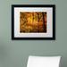 Millwood Pines 'Finery' Framed Photographic Print on Canvas in Green | 16 H x 20 W x 0.5 D in | Wayfair PSL0413-B1620MF