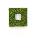 The Holiday Aisle® Preserved 20" ery Wreath in Green | 22 H x 22 W x 4 D in | Wayfair 689A1499294F4B8790EBD0F914402D4C