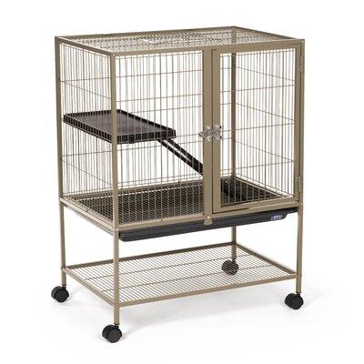 Tucker Murphy Pet™ Eloise Ferret Cage Metal/Acrylic/Plastic in Brown, Size 34.0 H x 25.0 W x 17.125 D in | Wayfair 486